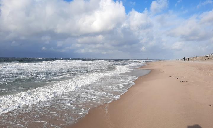 Gosch am Strand